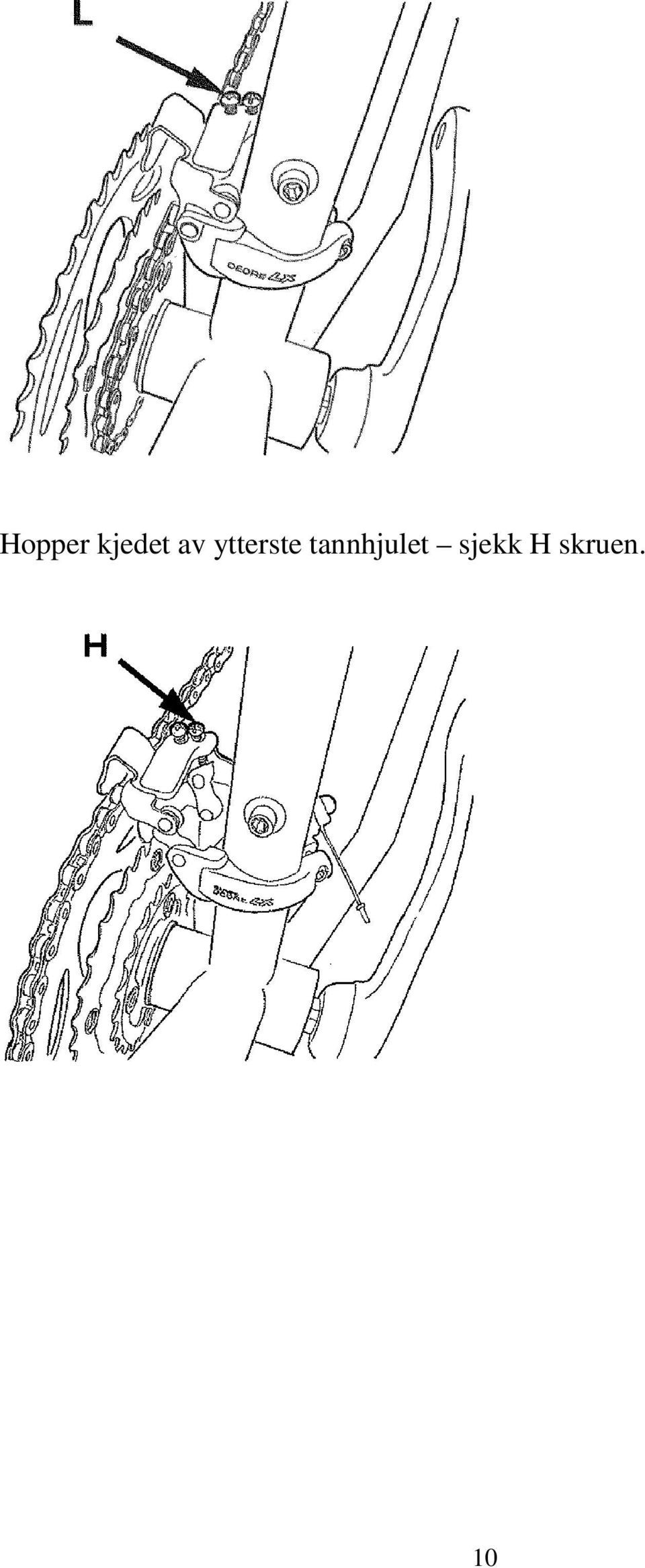 tannhjulet