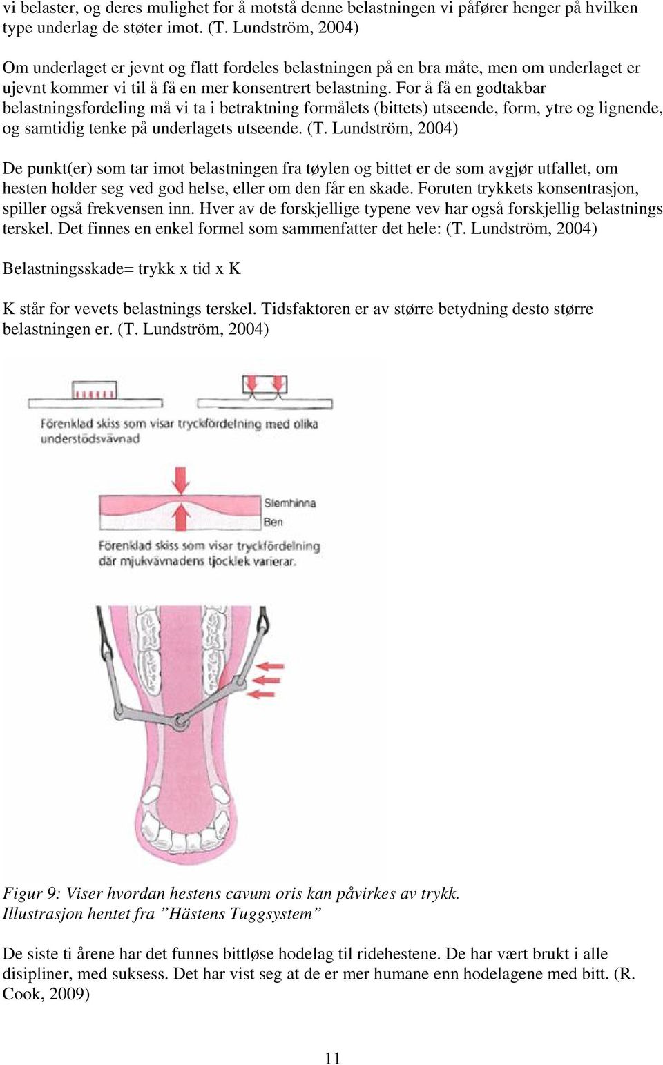 For å få en godtakbar belastningsfordeling må vi ta i betraktning formålets (bittets) utseende, form, ytre og lignende, og samtidig tenke på underlagets utseende. (T.