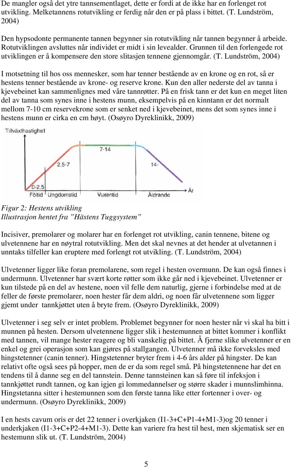 Grunnen til den forlengede rot utviklingen er å kompensere den store slitasjen tennene gjennomgår. (T.