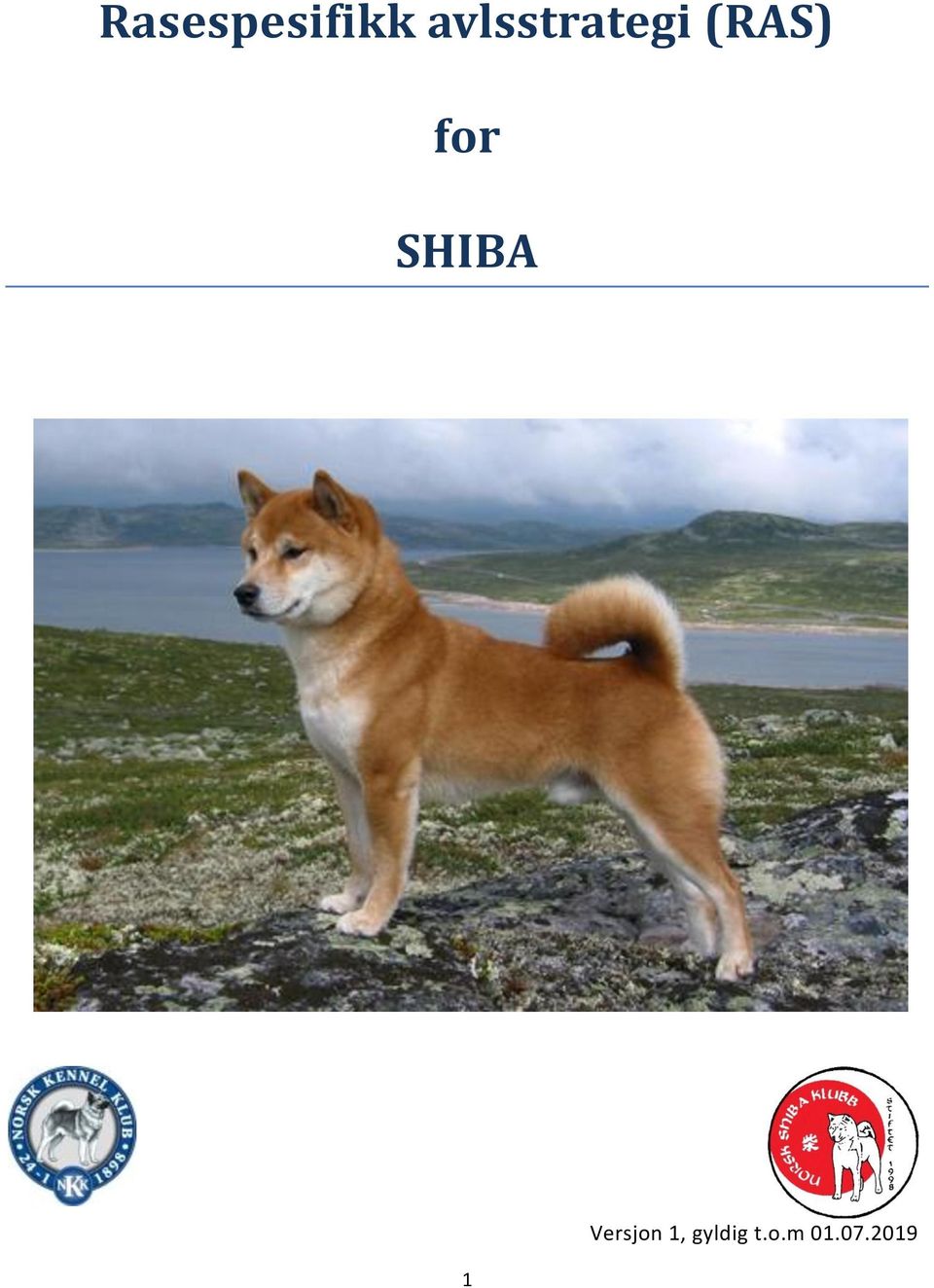 for SHIBA 1 Versjon