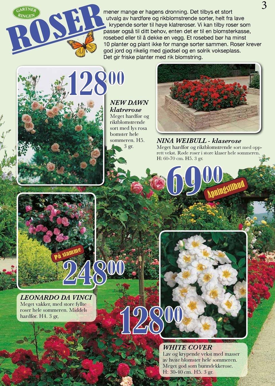 Roser krever god jord og rikelig med gjødsel og en solrik vokseplass. Det gir friske planter med rik blomstring.