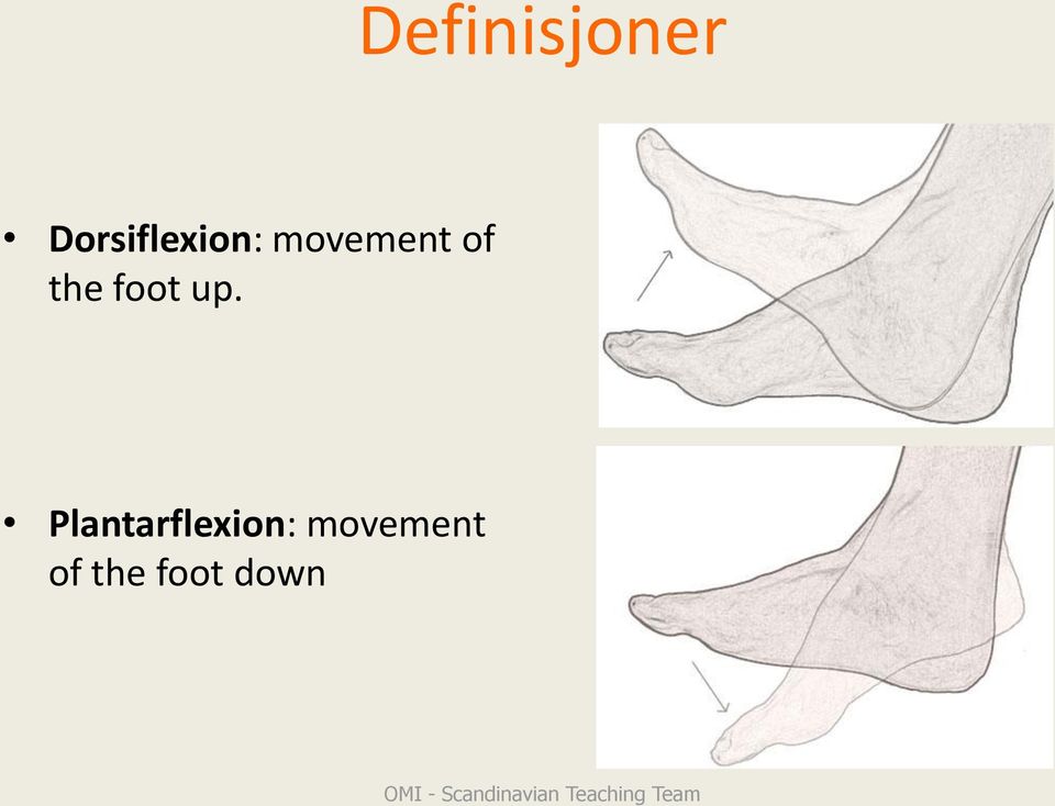 Plantarflexion: movement of the