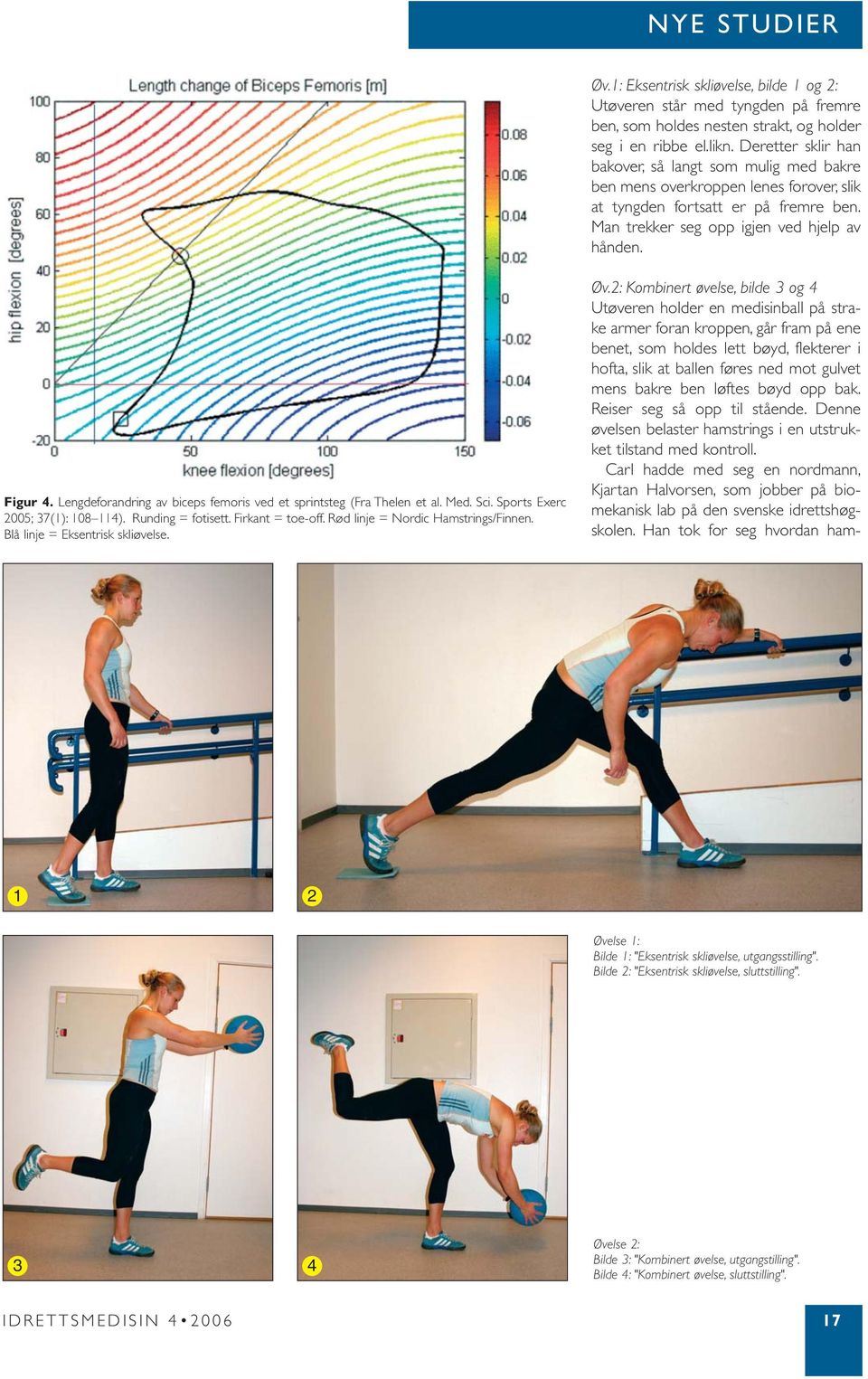 Lengdeforandring av biceps femoris ved et sprintsteg (Fra Thelen et al. Med. Sci. Sports Exerc 2005; 37(1): 108 114). Runding = fotisett. Firkant = toe-off. Rød linje = Nordic Hamstrings/Finnen.