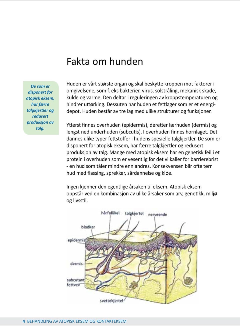 Huden består av tre lag med ulike strukturer og funksjoner. Ytterst finnes overhuden (epidermis), deretter lærhuden (dermis) og lengst ned underhuden (subcutis). I overhuden finnes hornlaget.