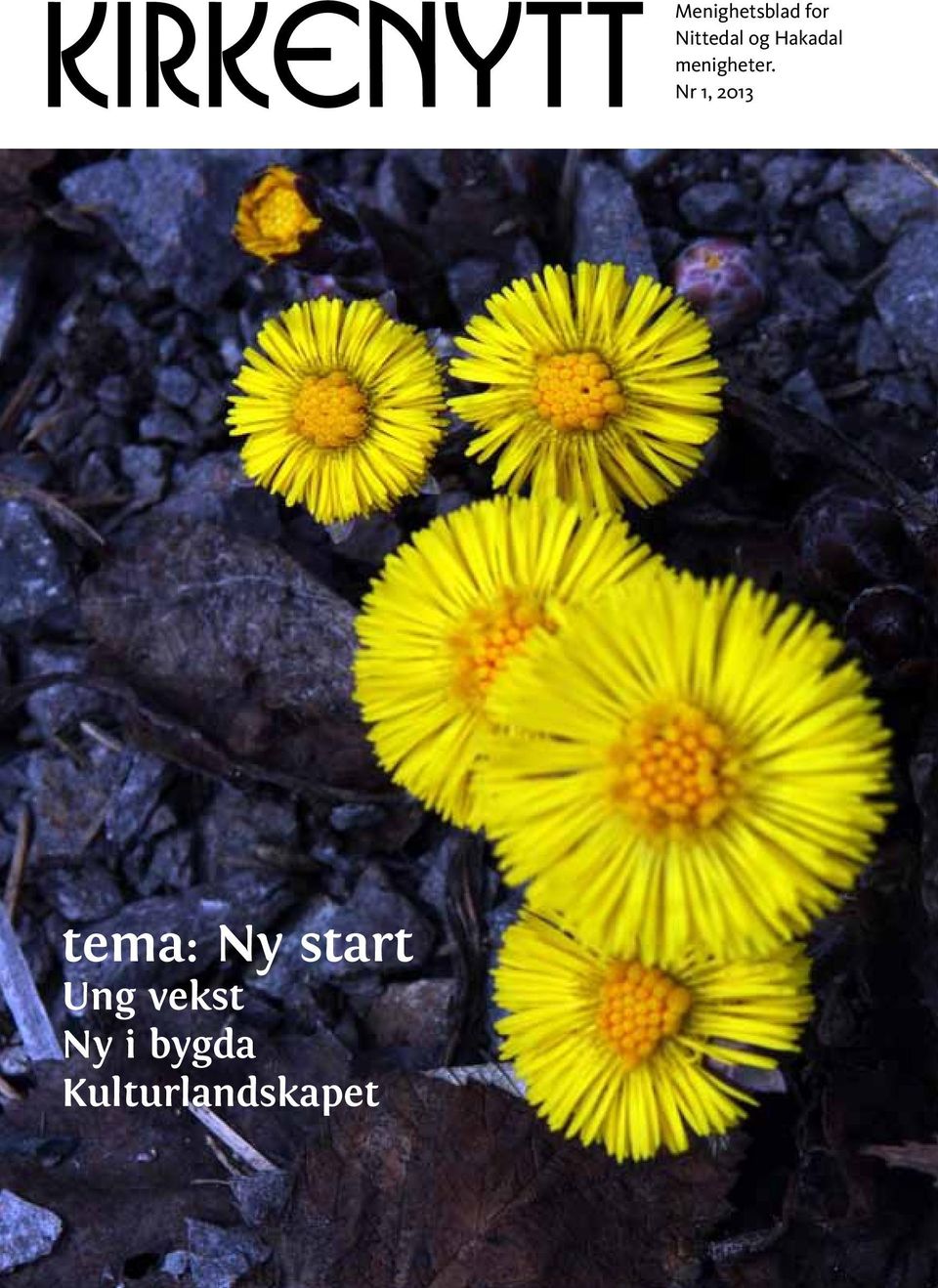 Nr 1, 2013 tema: Ny start