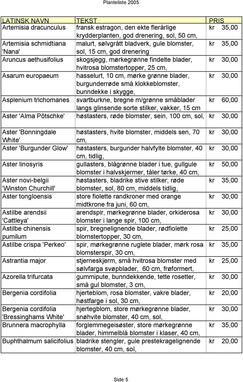 skygge, Asplenium trichomanes svartburkne, bregne m/grønne småblader kr 60,00 langs glinsende sorte stilker, vakker, 15 cm Aster 'Alma Pôtschke' høstasters, røde blomster, sein, 100 cm, sol, Aster