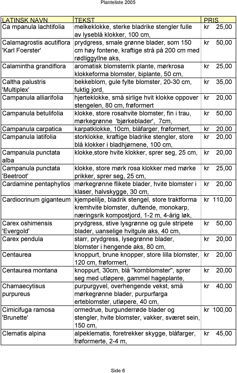 blomster, 20-30 cm, 'Multiplex' fuktig jord, Campanula alliarifolia hjerteklokke, små sirlige hvit klokke oppover stengelen, 80 cm, frøformert Campanula betulifolia klokke, store rosahvite blomster,