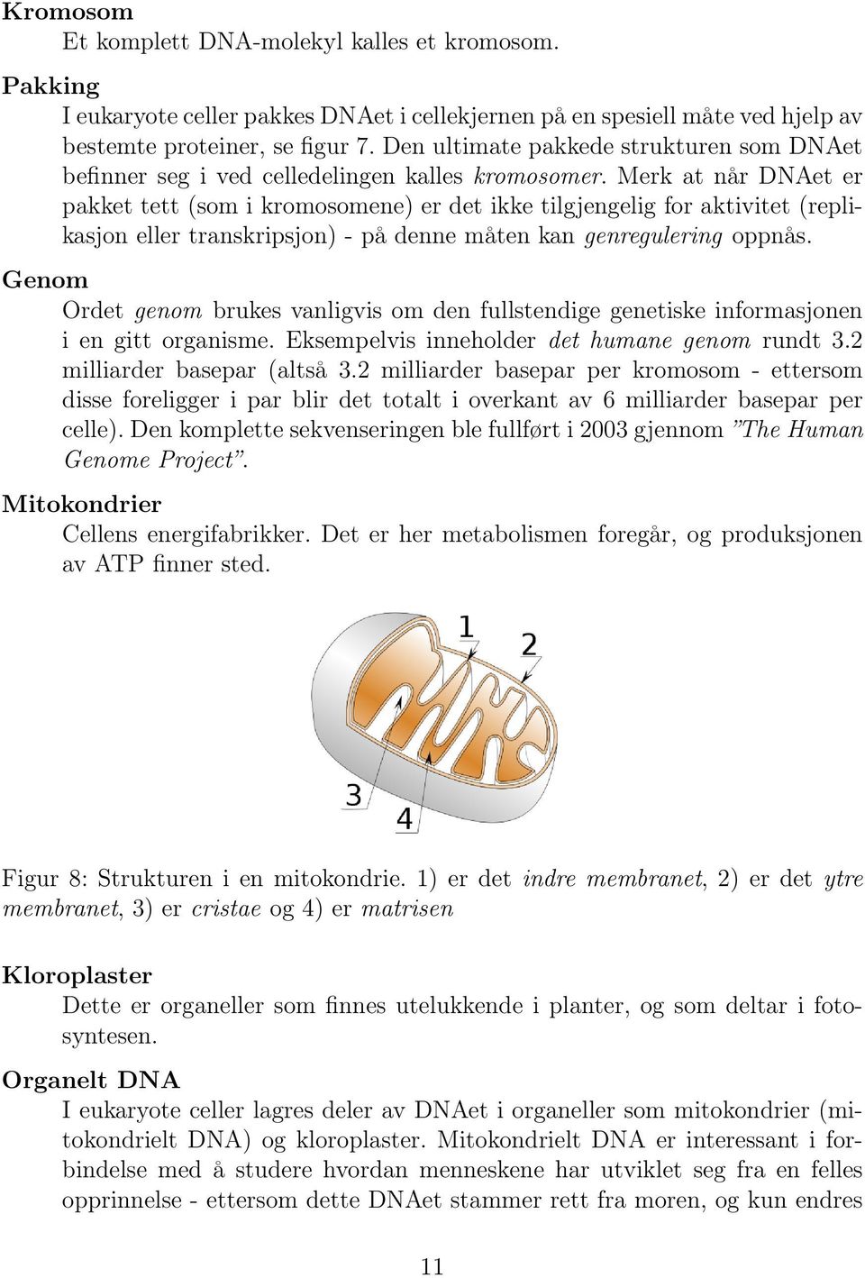 Merk at når DNAet er pakket tett (som i kromosomene) er det ikke tilgjengelig for aktivitet (replikasjon eller transkripsjon) - på denne måten kan genregulering oppnås.