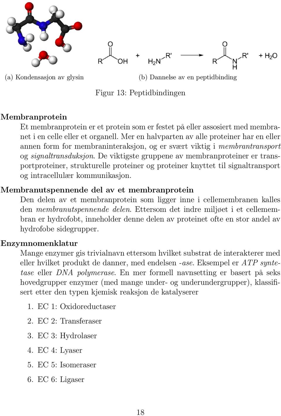 Deviktigstegruppeneavmembranproteinerertransportproteiner, strukturelle proteiner og proteiner knyttet til signaltransport og intracellulær kommunikasjon.