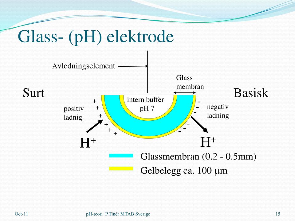 - - H + H + negativ ladning Basisk Glassmembran (0.2-0.