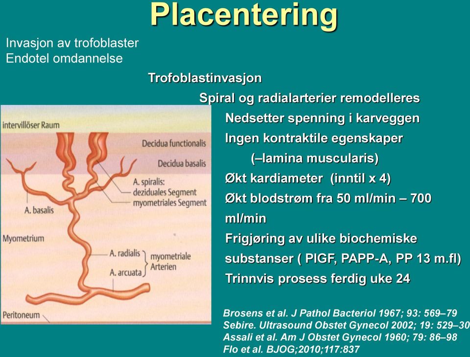 Frigjøring av ulike biochemiske substanser ( PlGF, PAPP-A, PP 13 m.fl) Trinnvis prosess ferdig uke 24 Brosens et al.