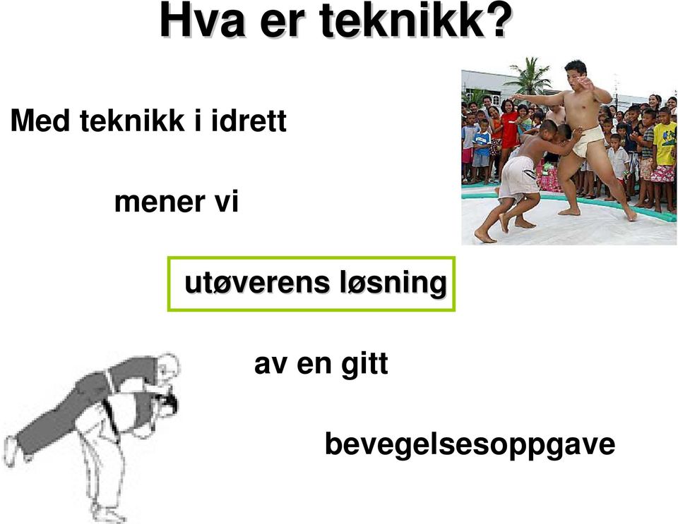 mener vi utøverens