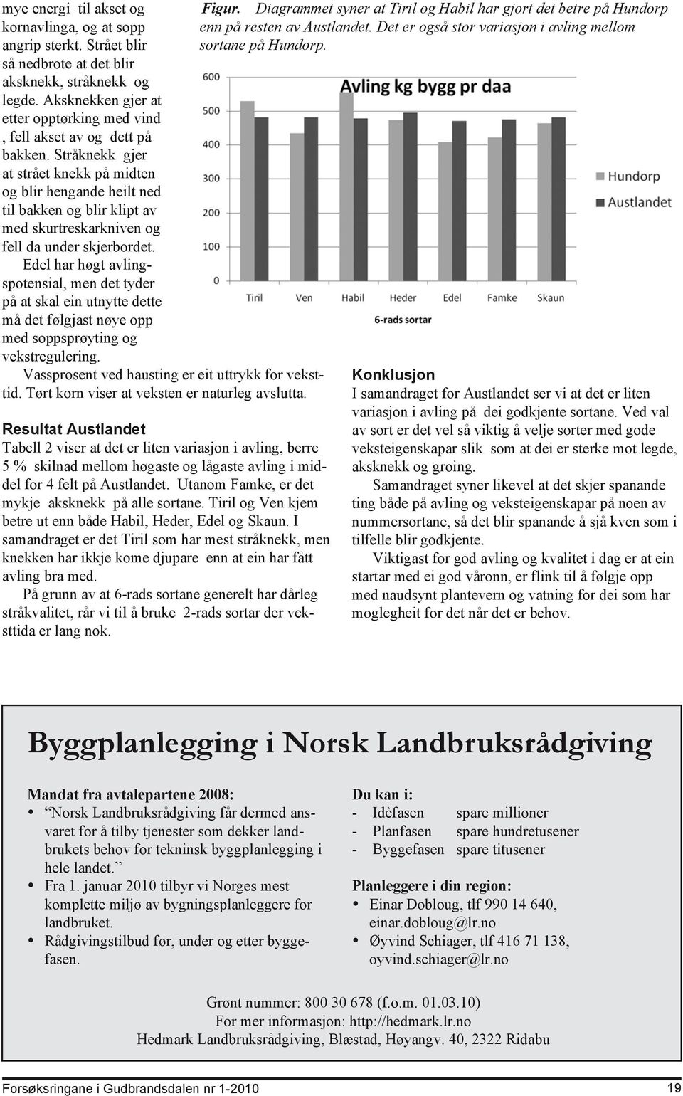 Stråknekk gjer at strået knekk på midten og blir hengande heilt ned til bakken og blir klipt av med skurtreskarkniven og fell da under skjerbordet.