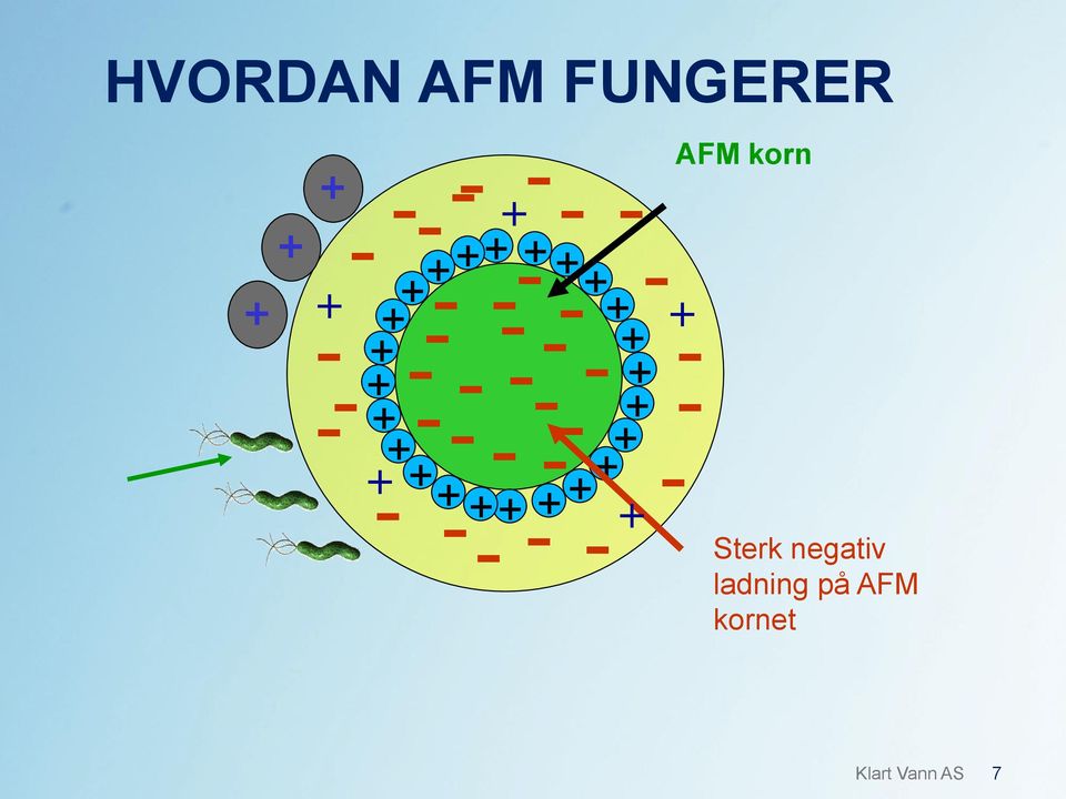 - - -- - - AFM korn Sterk negativ