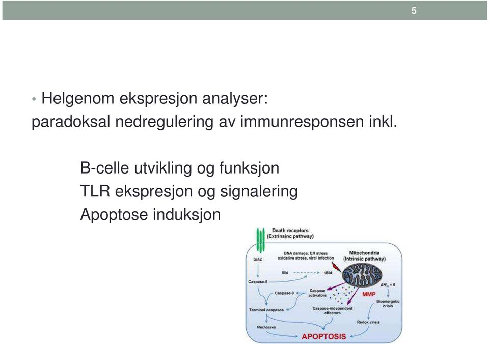 immunresponsen inkl.