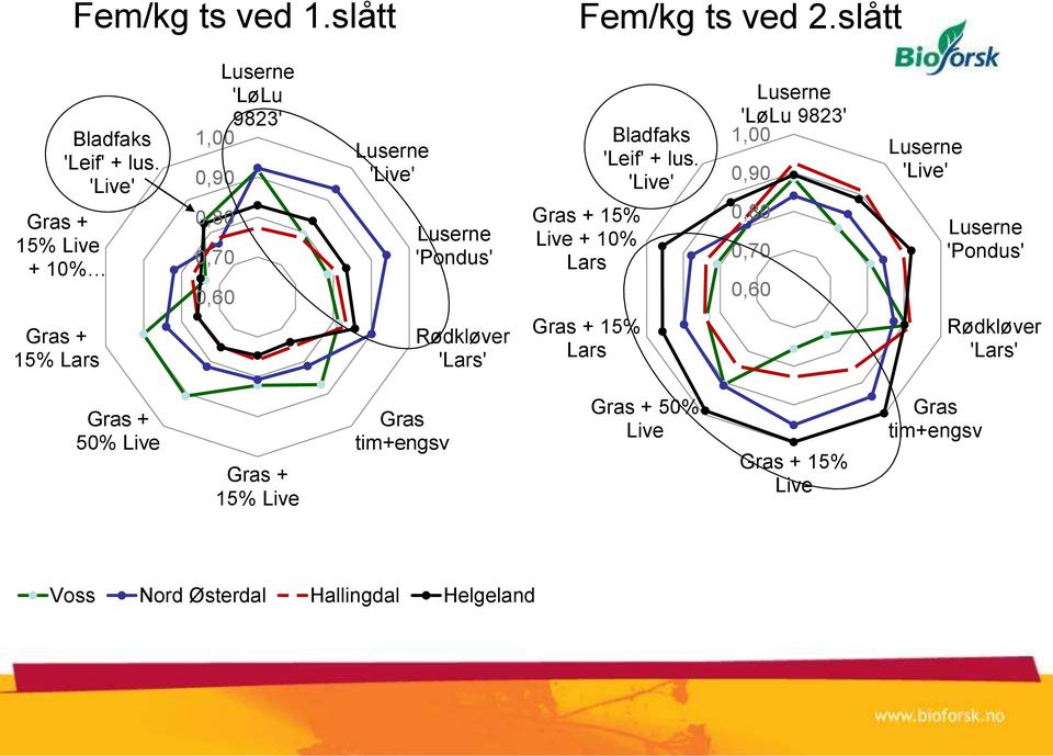 Gras + 15% Live + 10% Lars Gras + 15% Lars Bladfaks 'Leif' + lus.