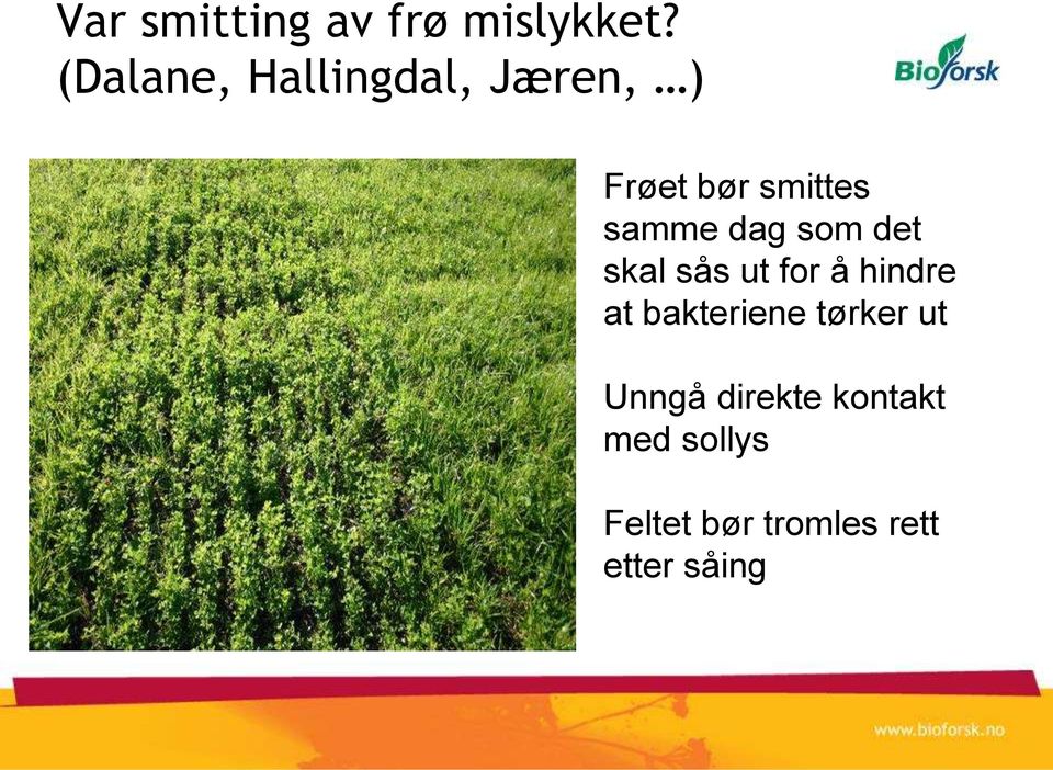 dag som det skal sås ut for å hindre at bakteriene