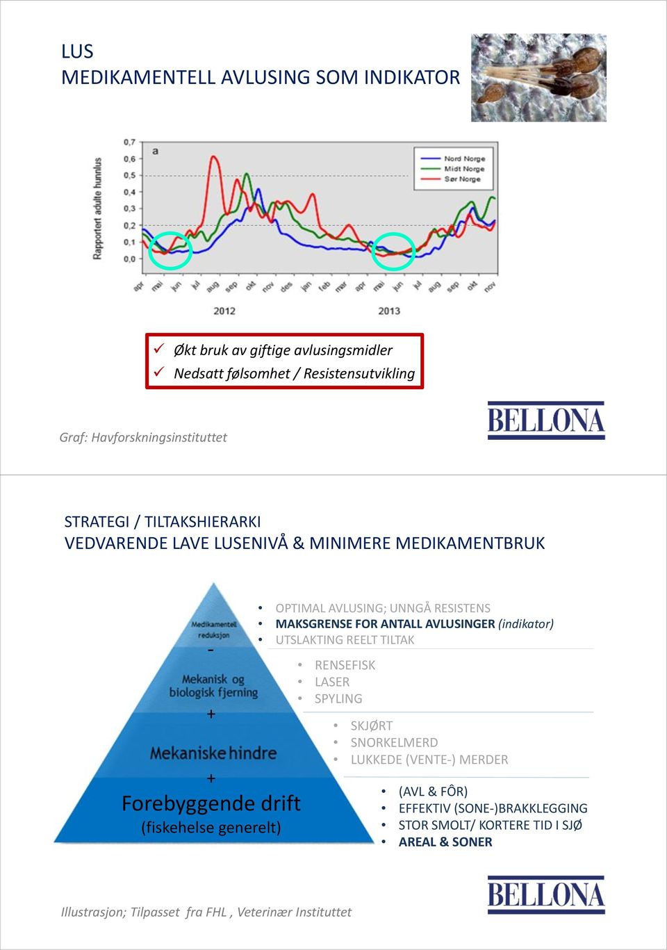 MEDIKAMENTBRUK - + + Forebyggende drift (fiskehelse generelt) OPTIMAL AVLUSING; UNNGÅ RESISTENS MAKSGRENSE FOR ANTALL AVLUSINGER (indikator)