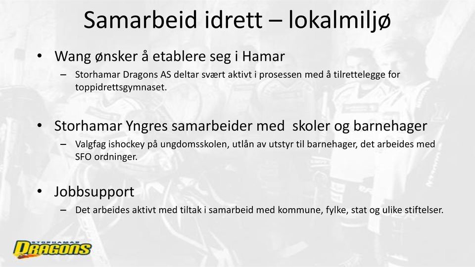 Storhamar Yngres samarbeider med skoler og barnehager Valgfag ishockey på ungdomsskolen, utlån av