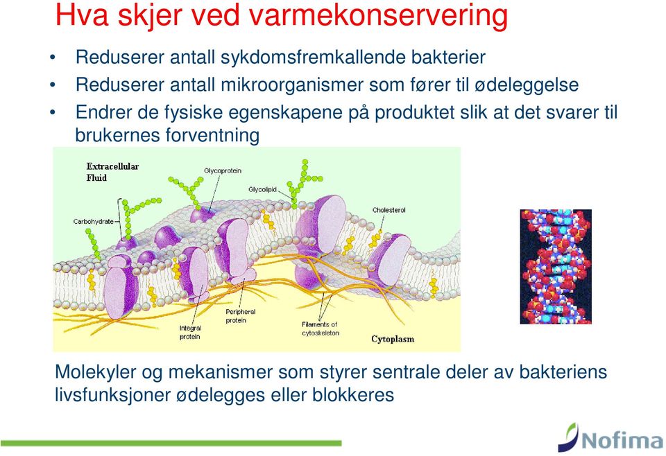 egenskapene på produktet slik at det svarer til brukernes forventning Molekyler og