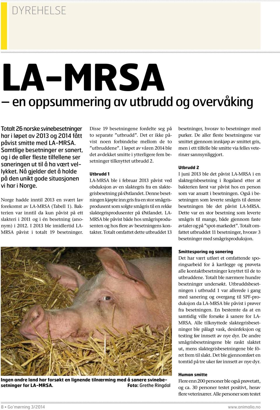 Norge hadde inntil 2013 en svært lav forekomst av LA-MRSA (Tabell 1). Bakterien var inntil da kun påvist på ett slakteri i 2011 og i én besetning (anonym) i 2012.