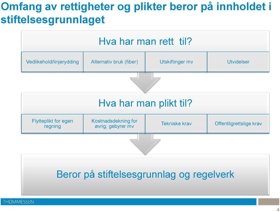 Vedlikehold/linjerydding Alternativ bruk (fiber) Utskiftinger mv Utvidelser Hva har