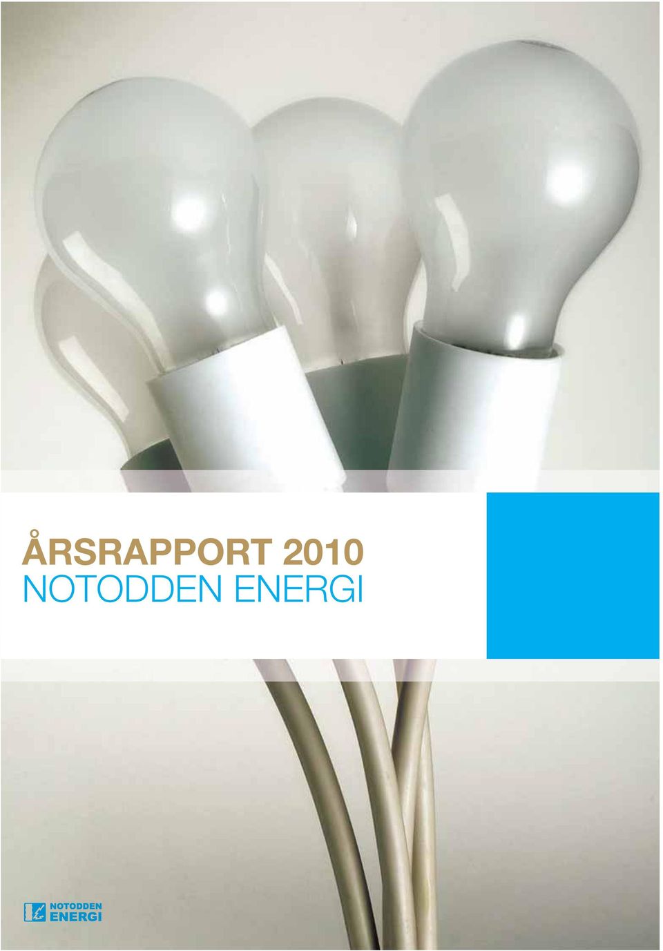 Årsrapport 2010