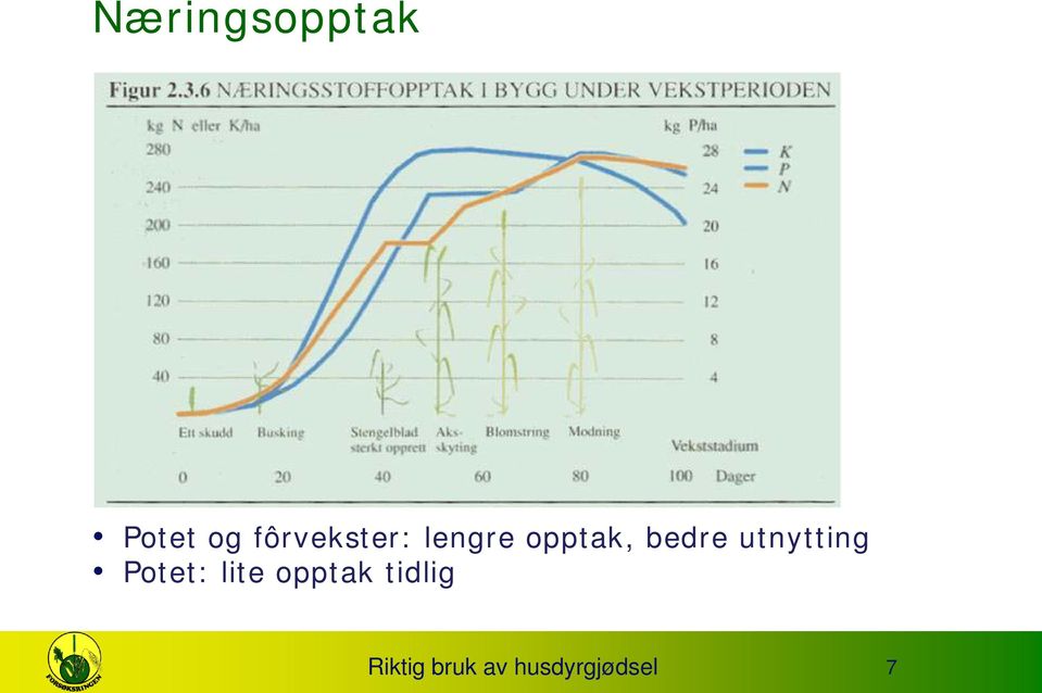 bedre utnytting Potet: lite