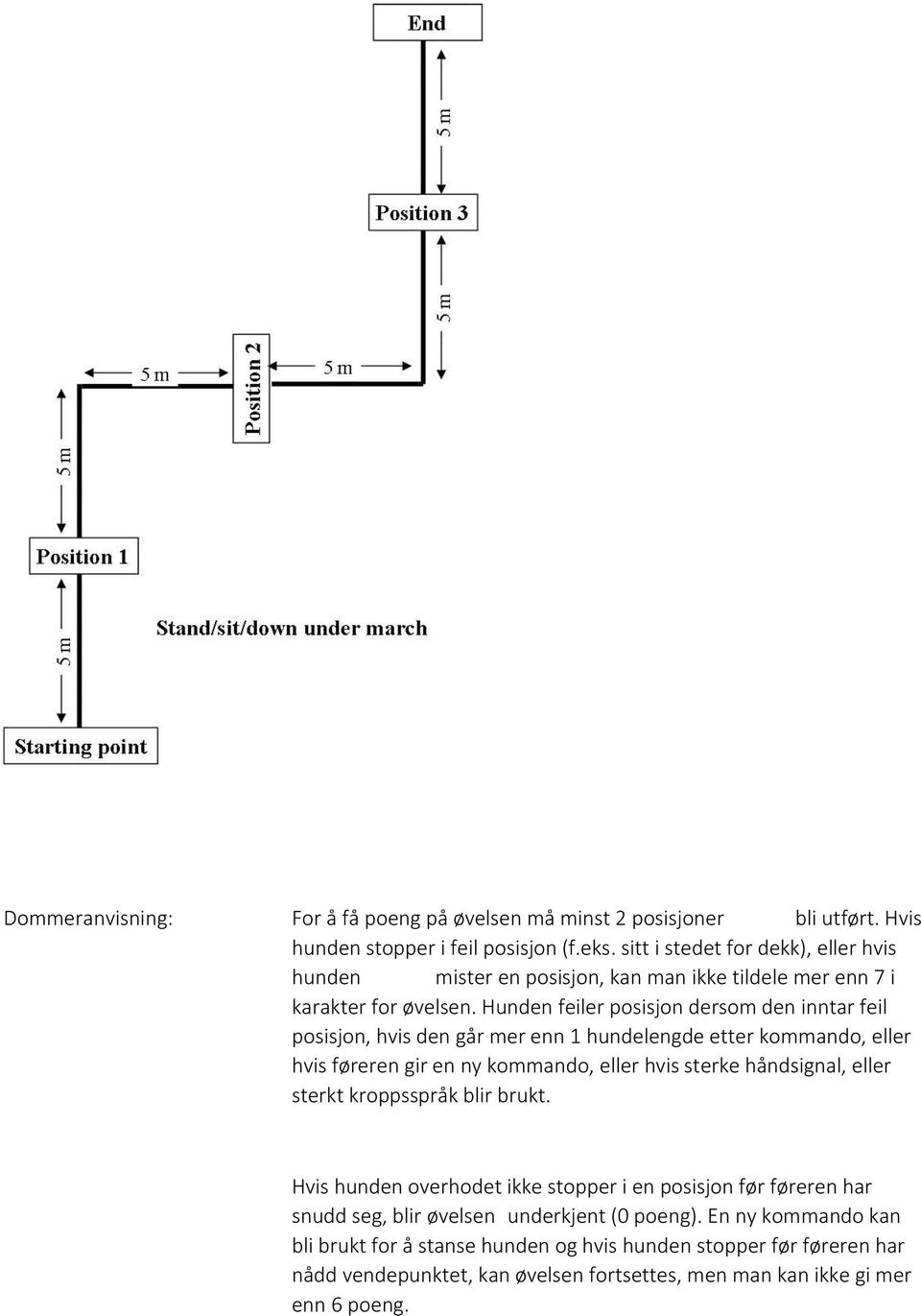 Hunden feiler posisjon dersom den inntar feil posisjon, hvis den går mer enn 1 hundelengde etter kommando, eller hvis føreren gir en ny kommando, eller hvis sterke håndsignal, eller