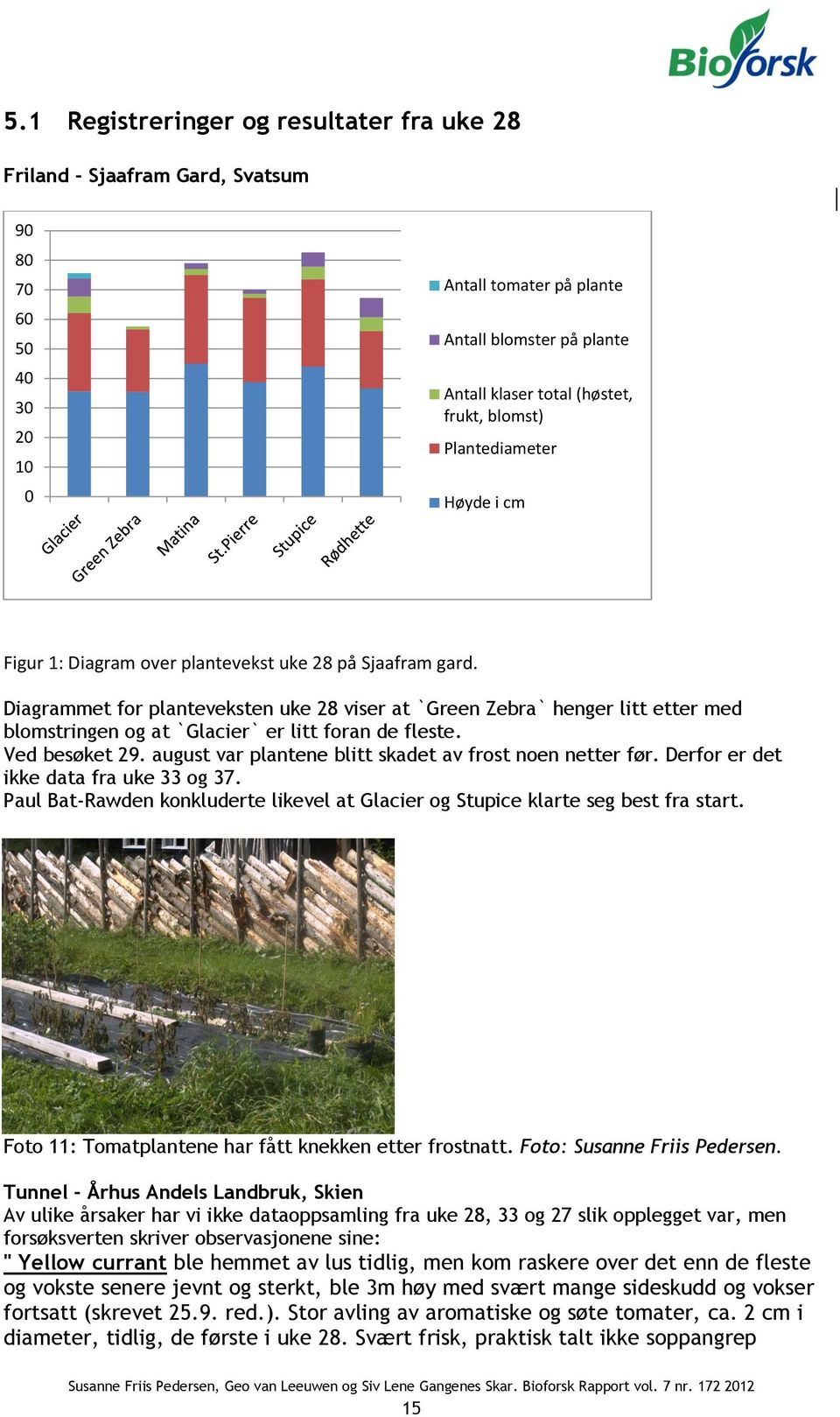 Diagrammet for planteveksten uke 28 viser at `Green Zebra` henger litt etter med blomstringen og at `Glacier` er litt foran de fleste. Ved besøket 29.