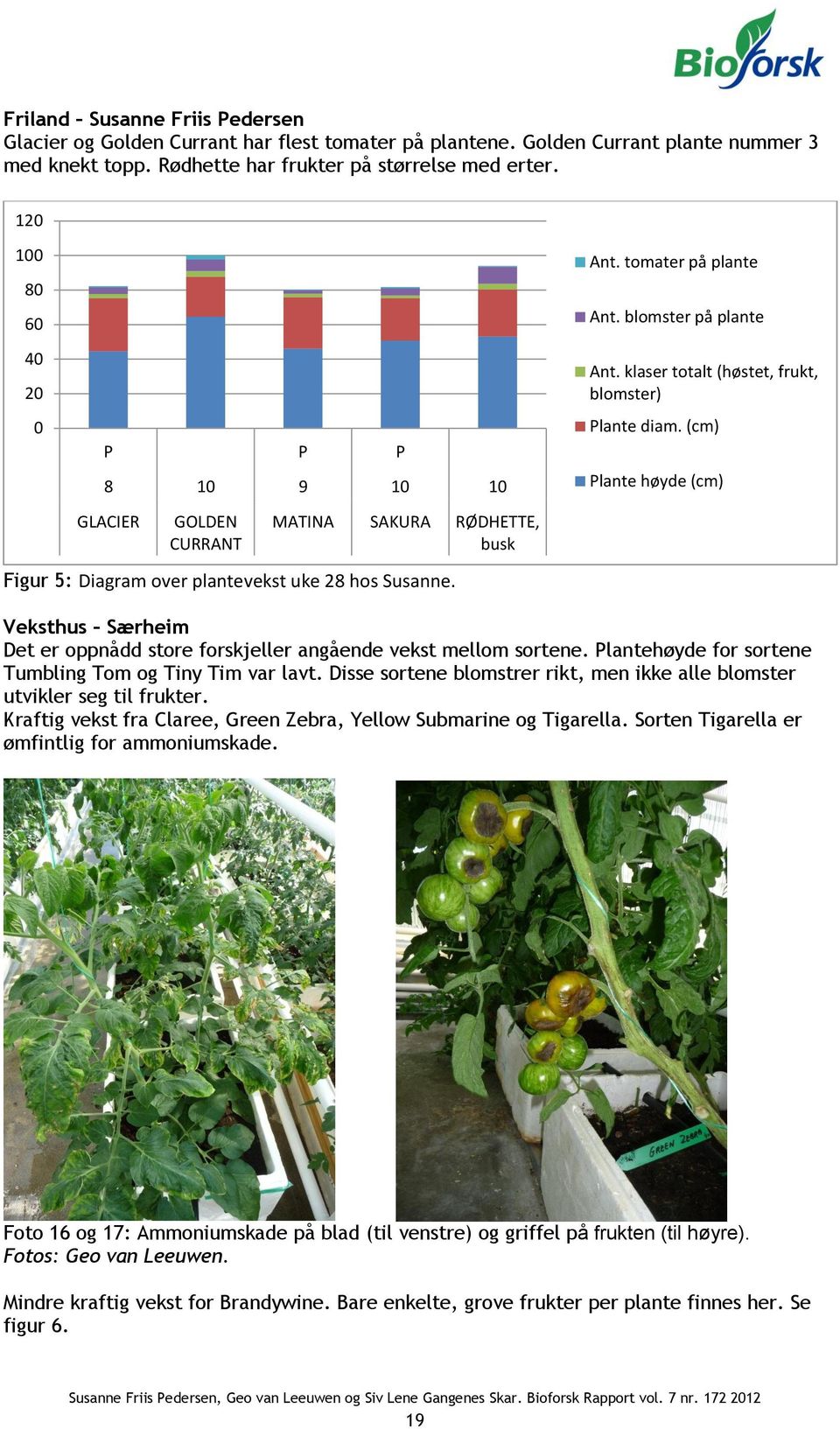 (cm) Plante høyde (cm) GLACIER GOLDEN CURRANT MATINA SAKURA RØDHETTE, busk Figur 5: Diagram over plantevekst uke 28 hos Susanne.