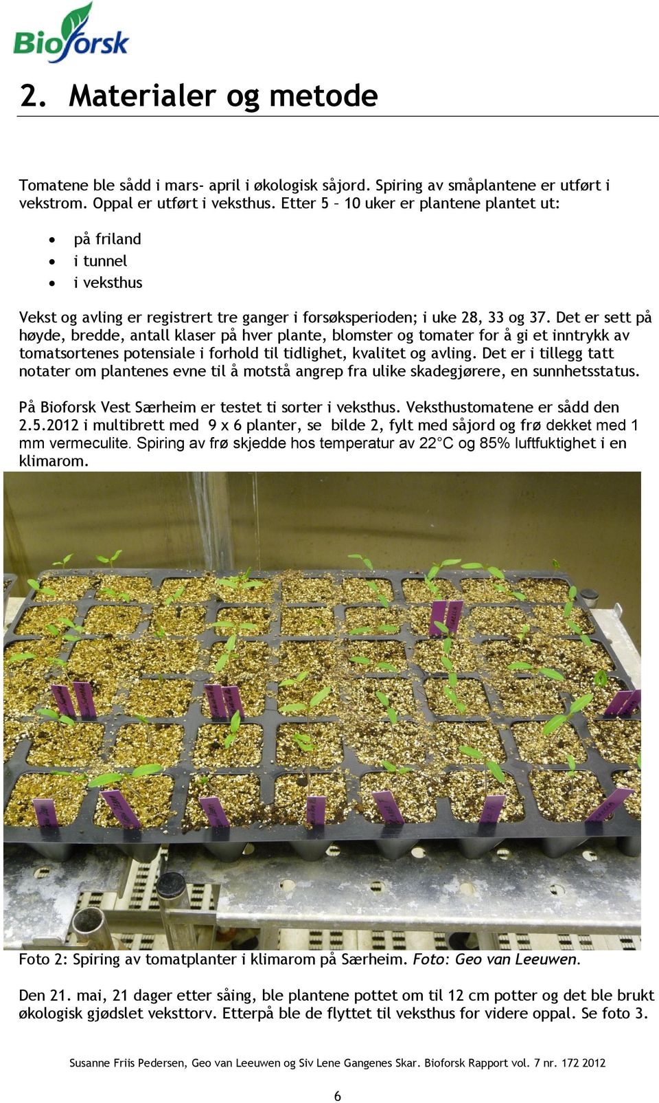 Det er sett på høyde, bredde, antall klaser på hver plante, blomster og tomater for å gi et inntrykk av tomatsortenes potensiale i forhold til tidlighet, kvalitet og avling.