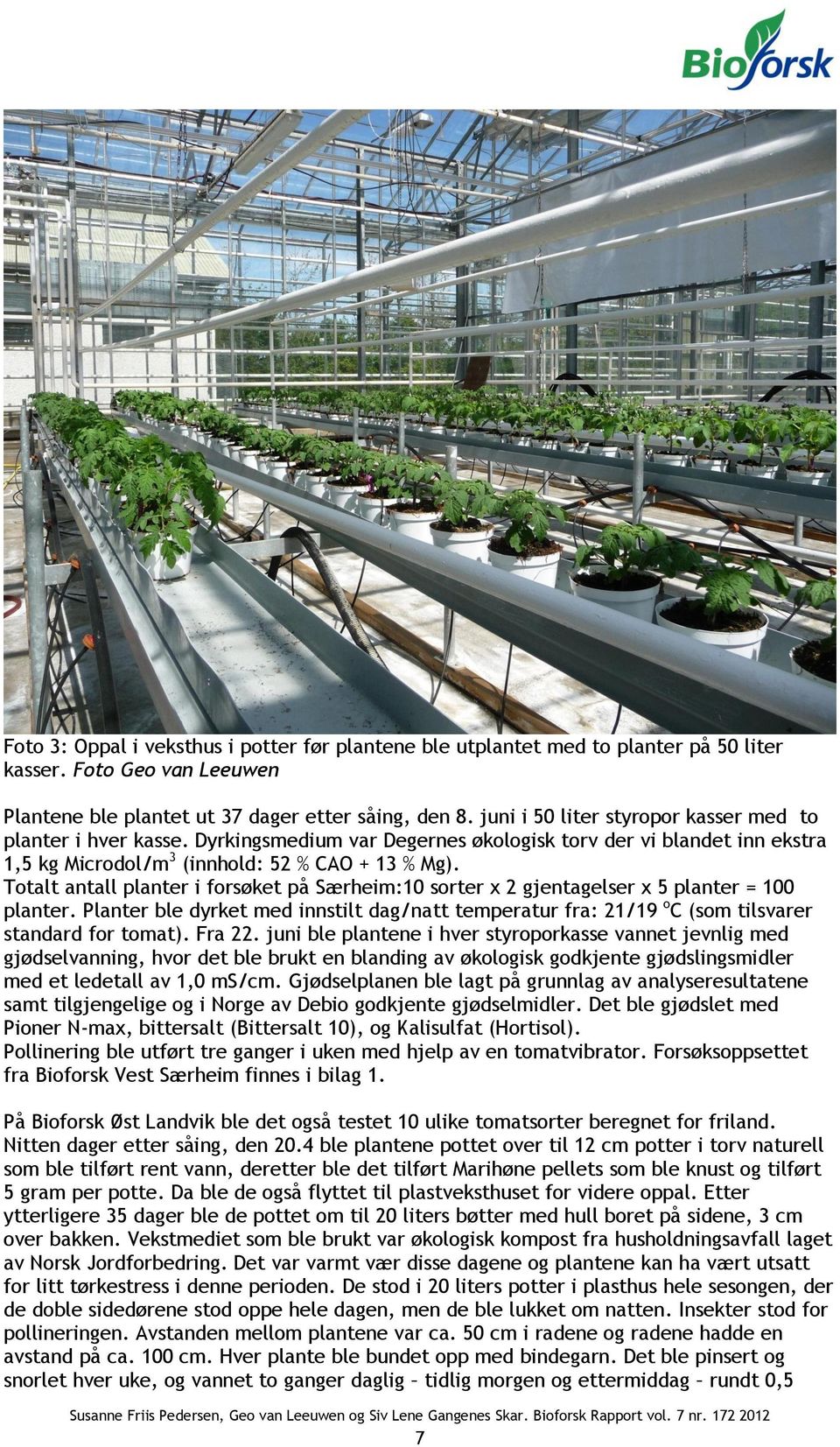 Totalt antall planter i forsøket på Særheim:1 sorter x 2 gjentagelser x 5 planter = 1 planter. Planter ble dyrket med innstilt dag/natt temperatur fra: 21/19 o C (som tilsvarer standard for tomat).