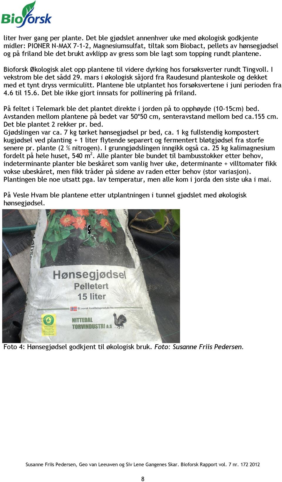 lagt som topping rundt plantene. Bioforsk Økologisk alet opp plantene til videre dyrking hos forsøksverter rundt Tingvoll. I vekstrom ble det sådd 29.