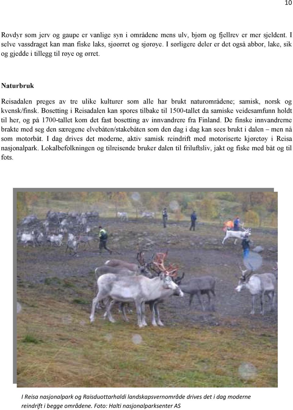 Bosetting i Reisadalen kan spores tilbake til 1500-tallet da samiske veidesamfunn holdt til her, og på 1700-tallet kom det fast bosetting av innvandrere fra Finland.