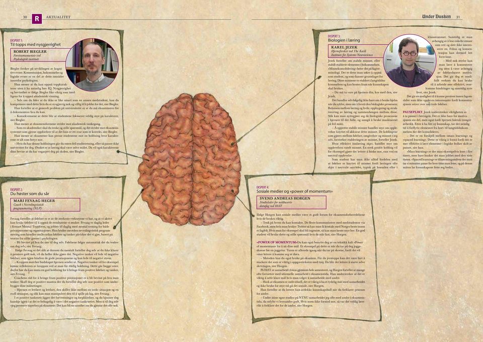 Nysgjerrighet og bevissthet er ifølge Biegler like viktig som intelligens for å oppnå akademisk vinning.