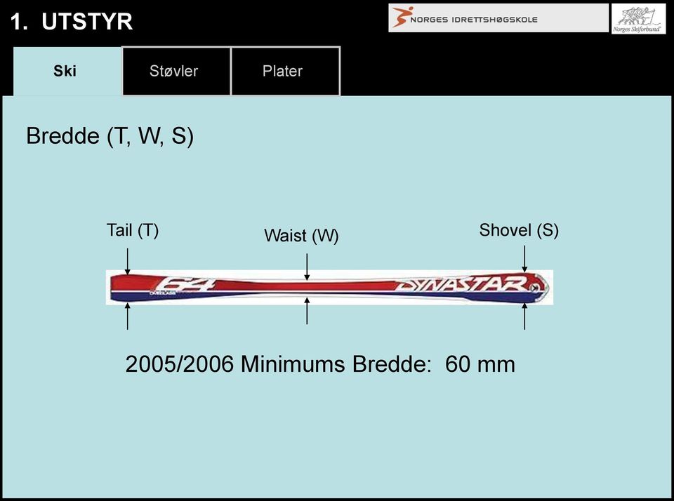 Tail (T) Waist (W) Shovel