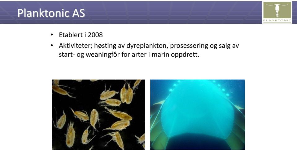 dyreplankton, prosessering og salg