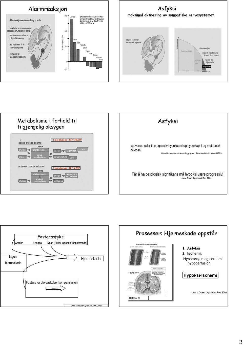 hypoksemi og hyperkapni og metabolsk acidose World federation of Neurology group Dev Med Child Neurol1993 1 mol glucose - 02 = 2 ATP Får å ha patologisk signifikans må hypoksi være progressiv! Low J.