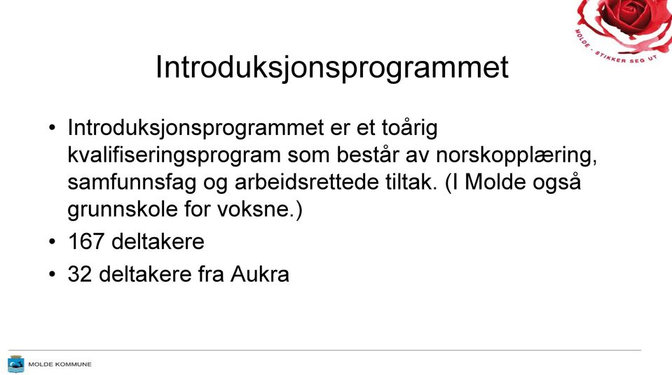 norskopplæring, samfunnsfag og arbeidsrettede tiltak.