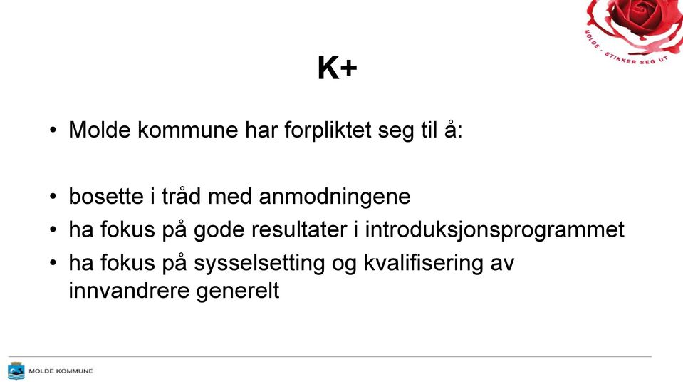 resultater i introduksjonsprogrammet ha fokus på