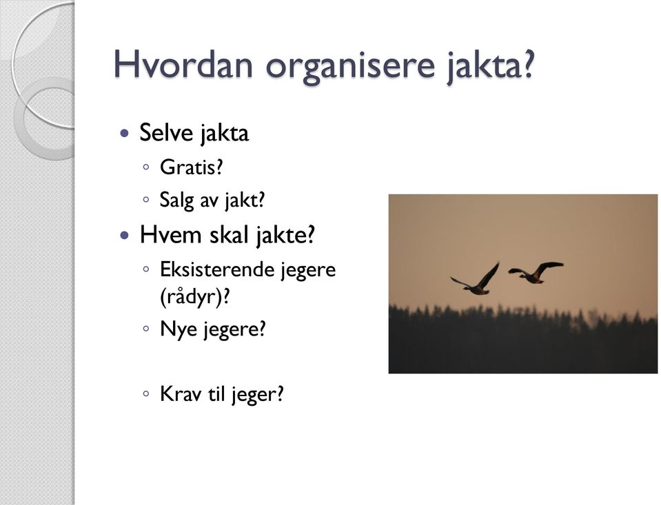 Hvem skal jakte?