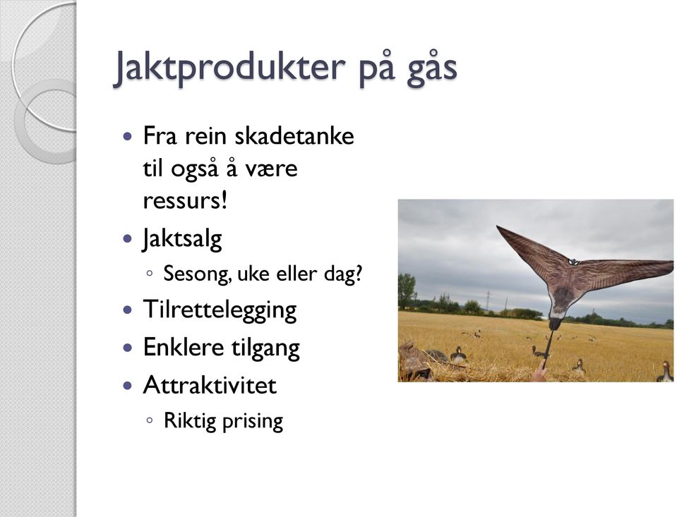 Jaktsalg Sesong, uke eller dag?