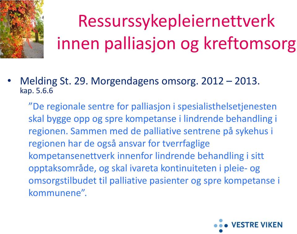 Sammen med de palliative sentrene på sykehus i regionen har de også ansvar for tverrfaglige kompetansenettverk innenfor lindrende