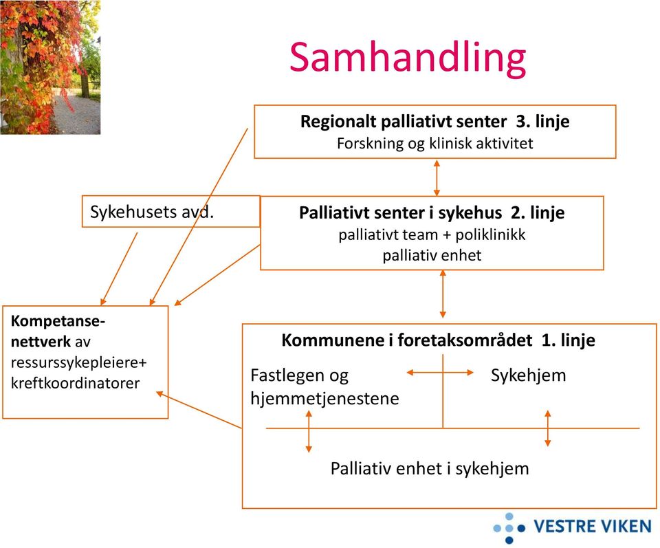 linje palliativt team + poliklinikk palliativ enhet Kompetansenettverk av