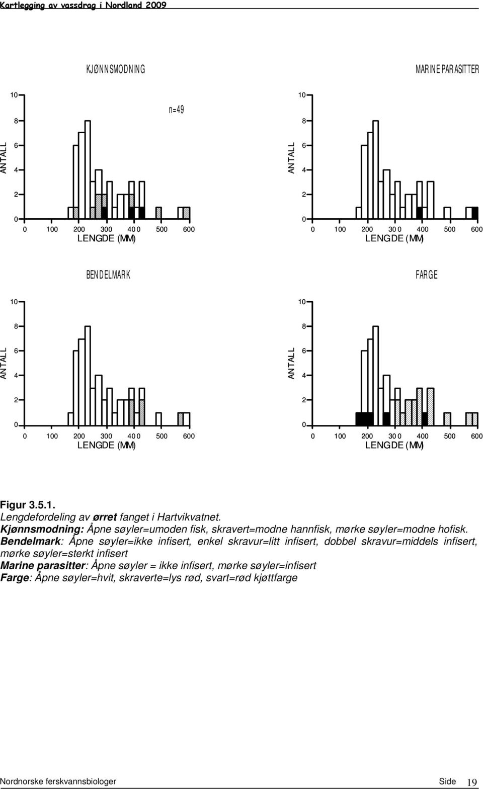 Bendelmark: Åpne søyler=ikke infisert, enkel skravur=litt infisert, dobbel skravur=middels infisert, mørke søyler=sterkt infisert Marine