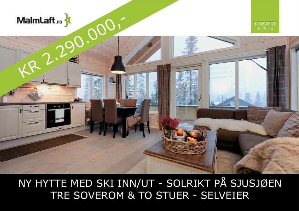 HYTTE MED SKI INN/UT -