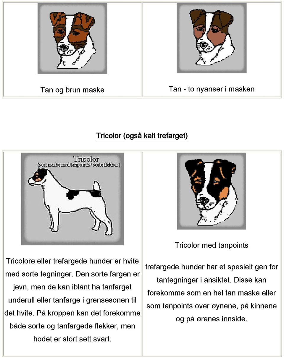 Den sorte fargen er jevn, men de kan iblant ha tanfarget underull eller tanfarge i grensesonen til det hvite.