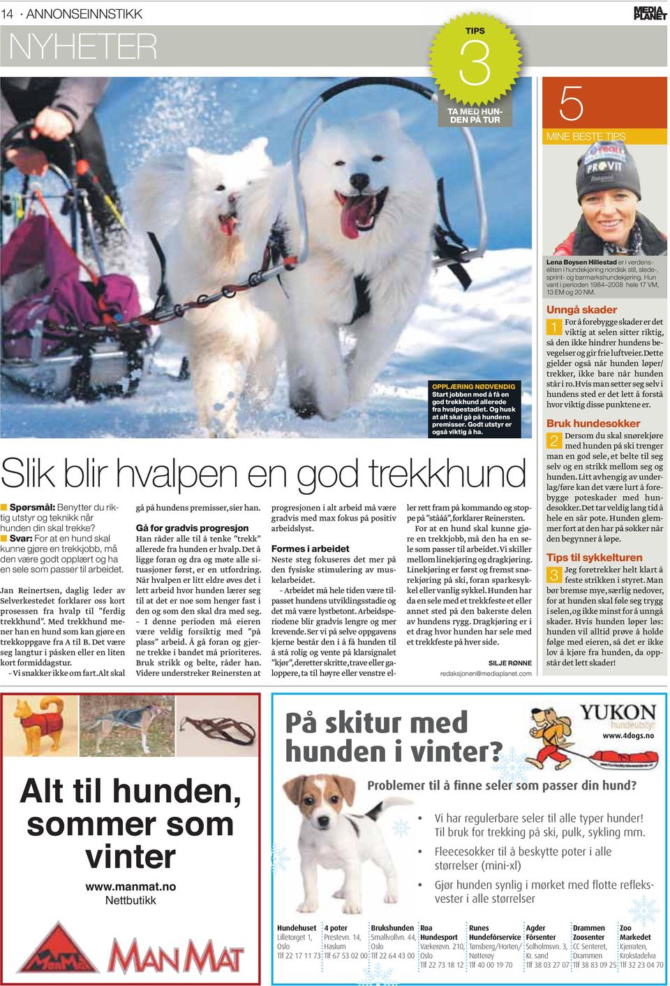 Med trekkhund mener han en hund som kan gjøre en trekkoppgave fra A til B. Det være seg langtur i påsken eller en liten kort formiddagstur. Vi snakker ikke om fart.