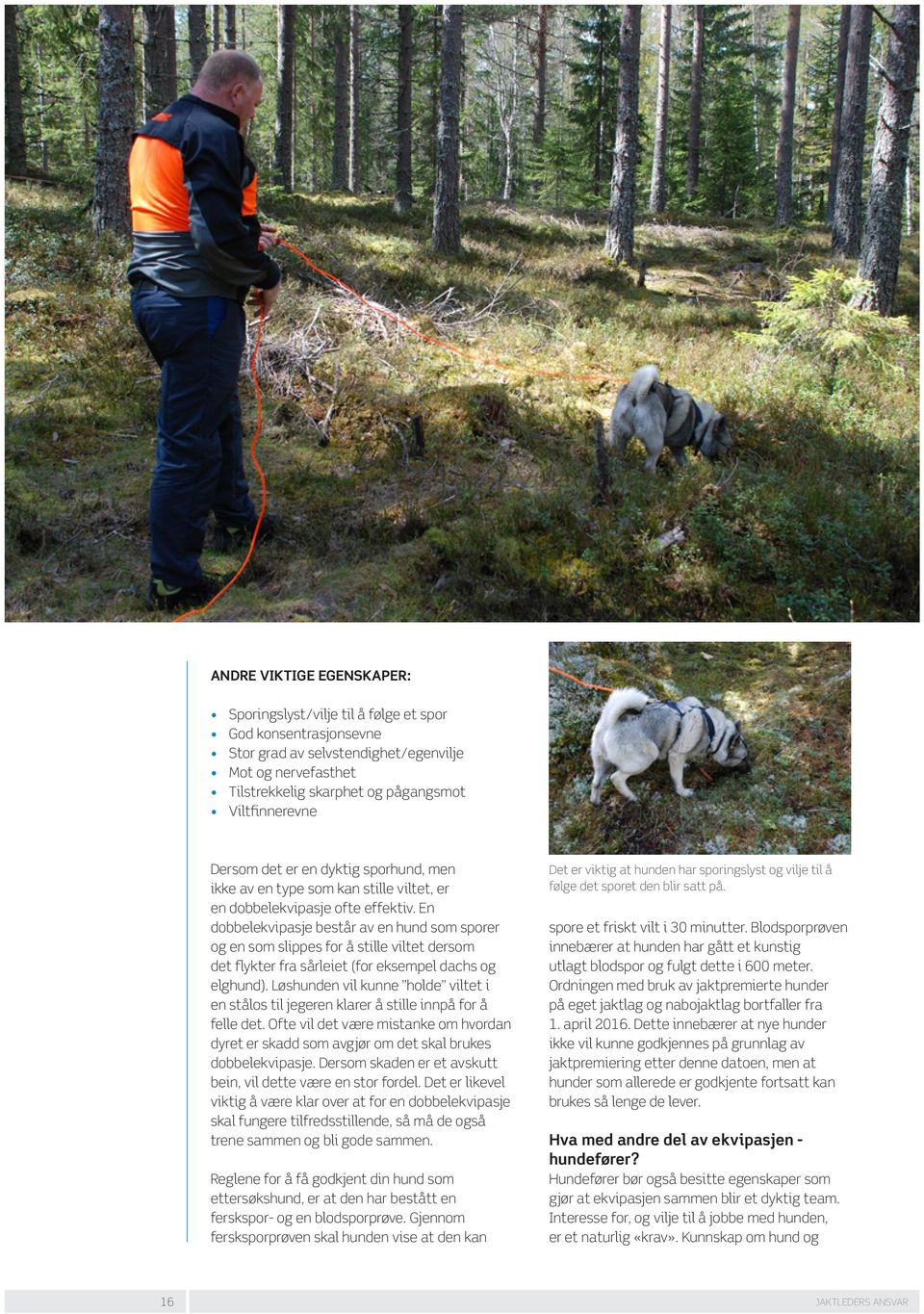 En dobbelekvipasje består av en hund som sporer og en som slippes for å stille viltet dersom det flykter fra sårleiet (for eksempel dachs og elghund).